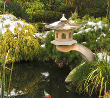 HOW TO WINTERIZE YOUR POND FOR YOUR FISH